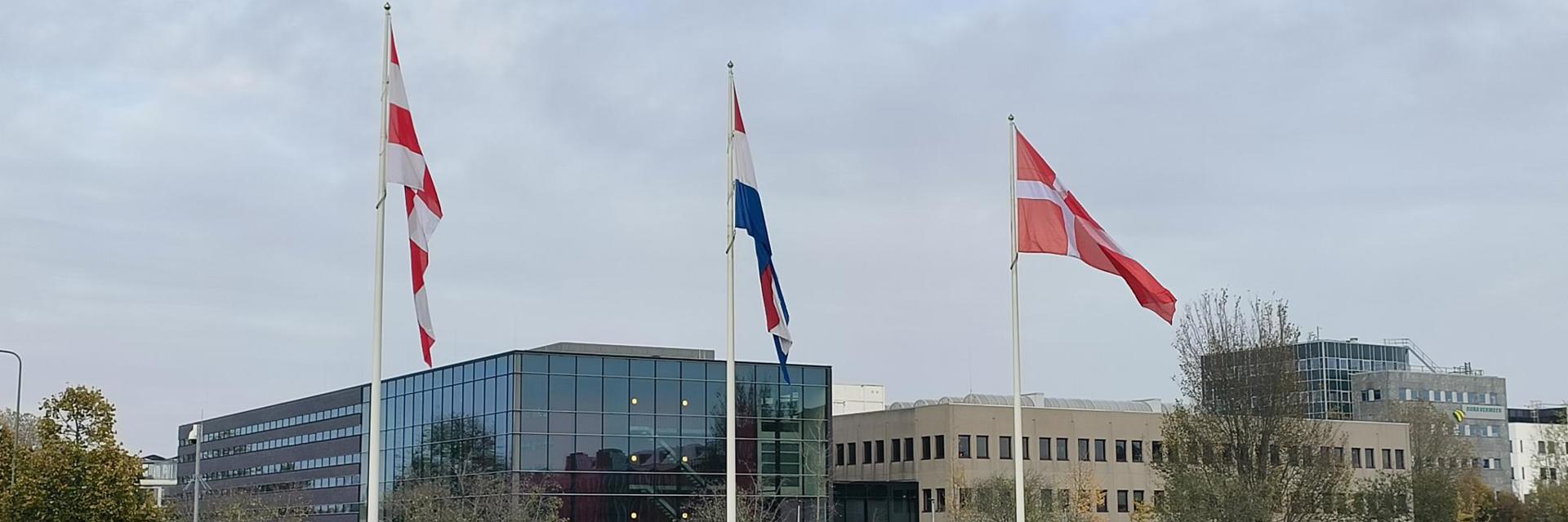 Vlag Brabant Nederland Denemarken